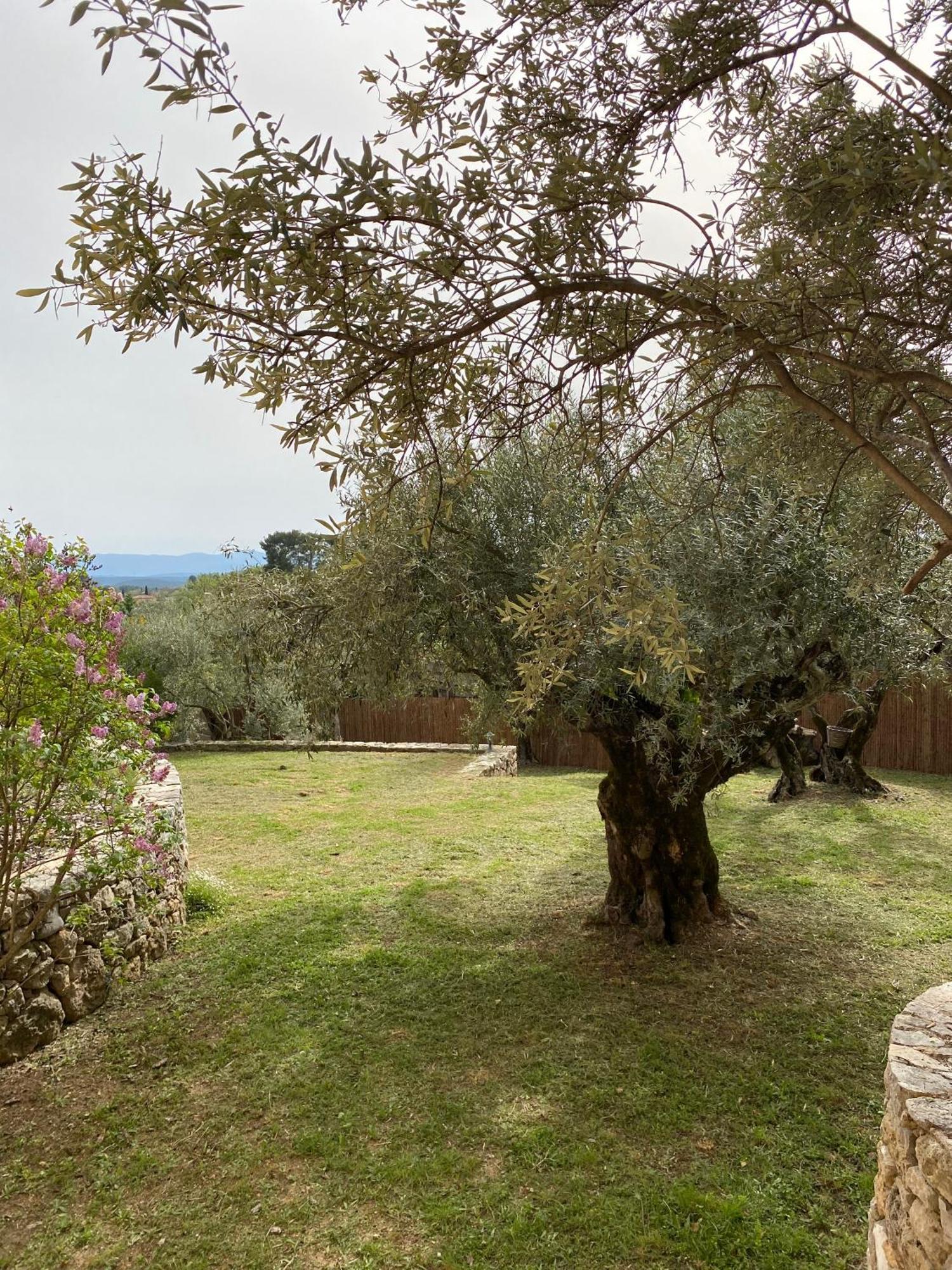 Chambre Double - Vue sur Jardin